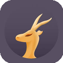 Lingyang Cracked VPN, 羚羊破解版VPN