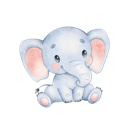 Daxiang Cracked VPN, 巨象破解版VPN