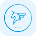 Feima Cracked VPN, 飞马破解版VPN