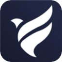 Feiniao Cracked VPN, 翱翔的鸟类破解版VPN